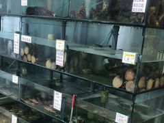 -春妮海味饭店