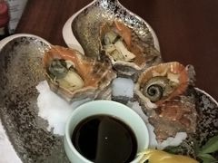 小海螺-莳空烧鸟店(晨沐店)