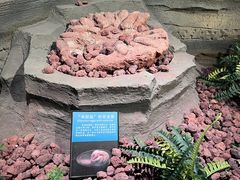 -辽宁古生物博物馆