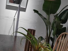 -桉树林A coffee 森林餐厅(三圣乡店)