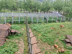 -青藏高原野生动物园