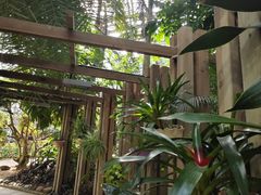 -南山植物园