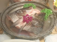 -邵年鸽(杨庄店)