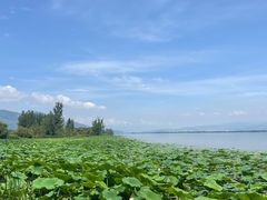 -西昌邛海湿地