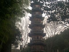 -上海佘山国家森林公园西佘山园