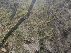 -塔云山