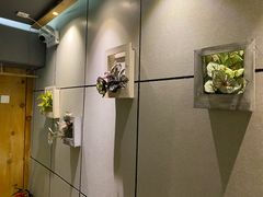 -康轩盲人按摩(上海沙龙店)