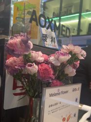 点击看大图 -玛莲朵·海菲秀冰珀科