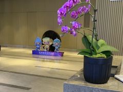 -杭州师范大学仓前新校区-体育场