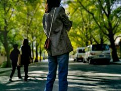 -三里屯东五街银杏大道