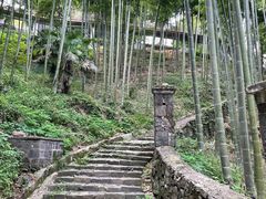 -莫干山风景区