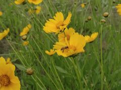 -千龙湖生态旅游度假区