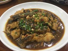 -全乐鱼馆·淳牌有机鱼直营店