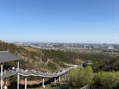 -大青山野生动物园