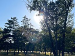 -承德避暑山庄景区