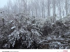 -太子岭滑雪场