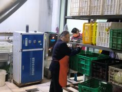 -温江公平红烧兔(总店)