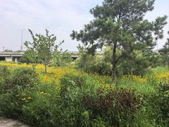-绿堤公园