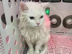 -FAELING PETS美天灵宠物(富力广场店)
