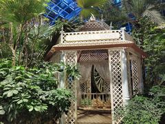 -大塘金香草谷