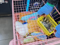 -娃娃集合营(上海闵行天街店)
