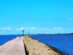 -上海吴淞炮台湾国家湿地公园