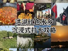 -洪湖湿地生态园