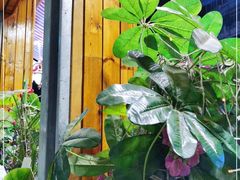 -胖姐烧烤(总店)