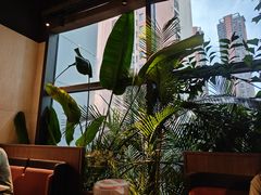 -大头椰·椰子鸡火锅(南宁万象城店)