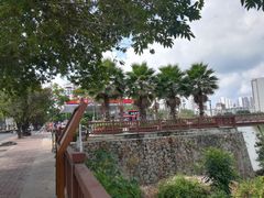 -金鸡岭桥头公园