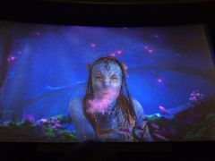 放映厅-大光明电影院(南京西路店)