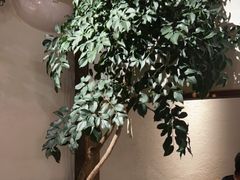 -乔街深夜食堂·台州菜·高压锅生蚝(杭州总店)
