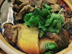 熟牛腩-陈记顺和牛肉火锅馆(天河北路店)