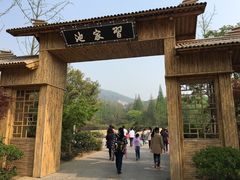 -习家池