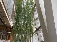 -上海柏悦酒店·世纪100牛排馆