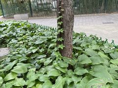 -宣武艺园