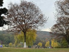 -虞山风景区
