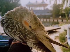 -酷鱼垂钓CLUB(朝阳区博大路店 )