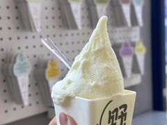 -野人先生现做冰淇淋(北京悠唐购物中心店)