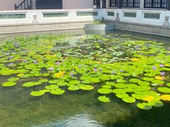 -黄埔古港