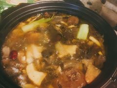 -马帮菜馆·美味野生菌