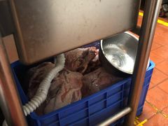 -额尔敦草原涮羊肉·烧烤(冻青树总店)