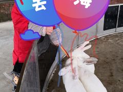 -黄龙溪欢乐田园