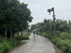 -乌村