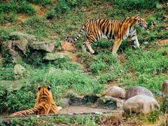 -杭州野生动物世界