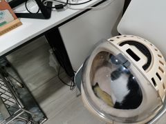 -申普宠物医院·眼科·心内科·影像科(普陀分院)