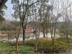 -同里国家湿地公园