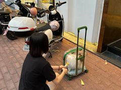 -拜鲁耶动物诊疗中心·宠家动物医院