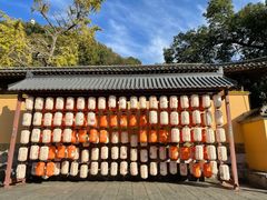 -紫阳古街