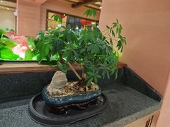 -三六三杭州菜(水上总店)